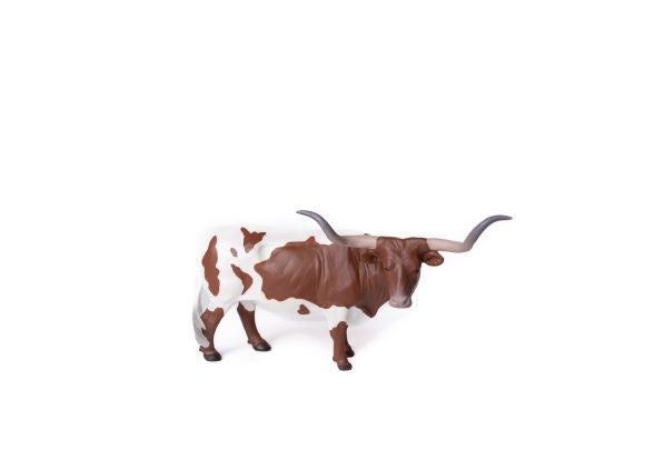 Texas Longhorn Steer