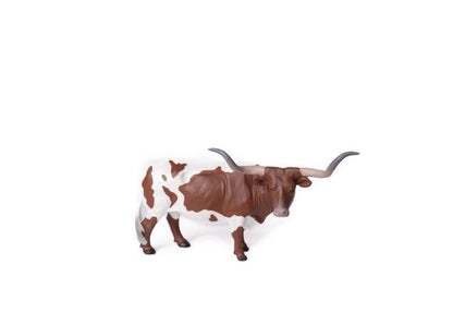 Texas Longhorn Steer