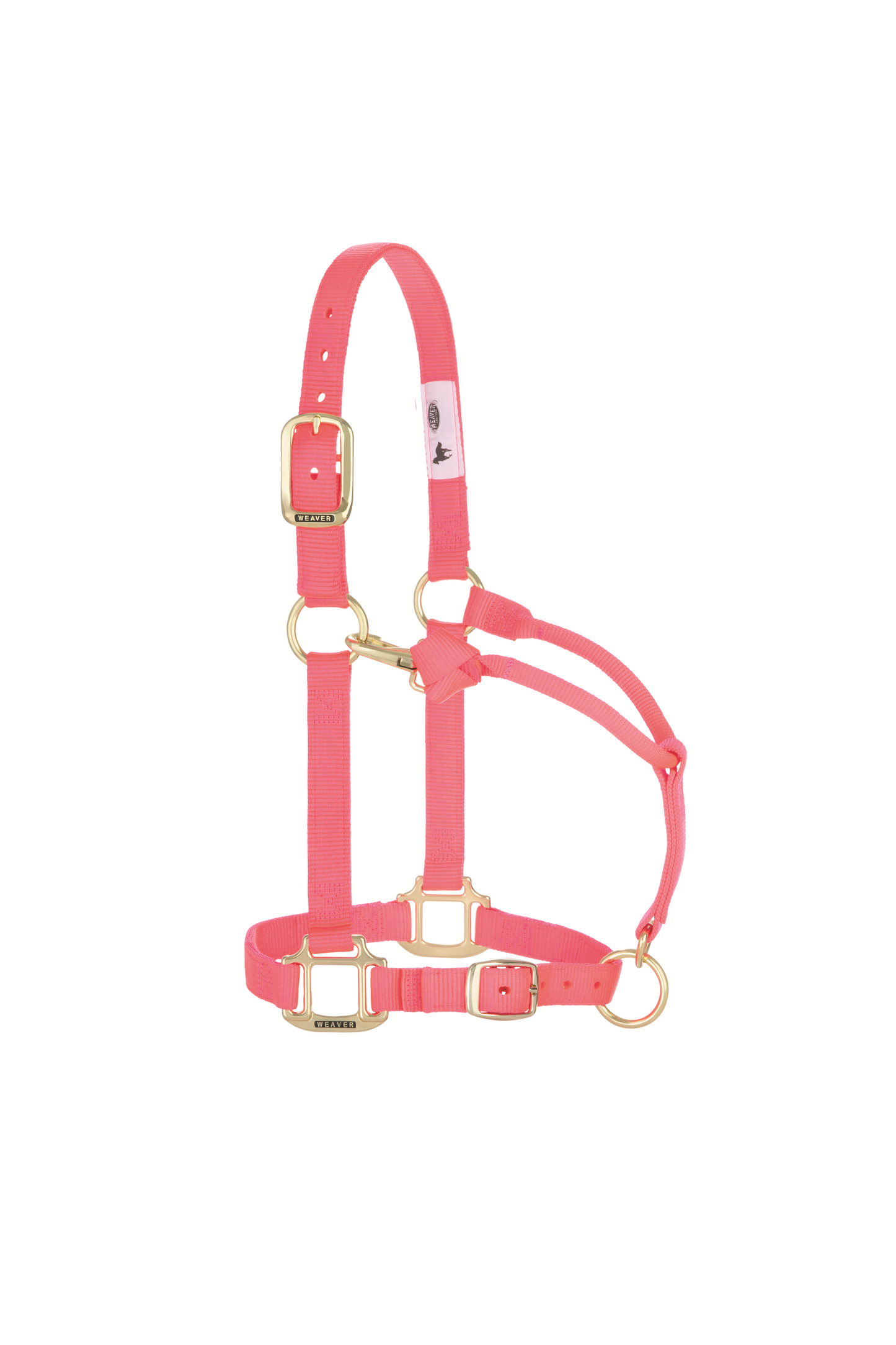 Original Adjustable Chin and Throat Snap Halter, 1", Average Horse