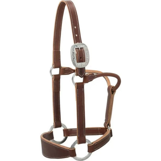 Leather Halter Bronc