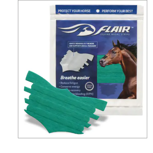 Equine Nasal Strip - 6pack