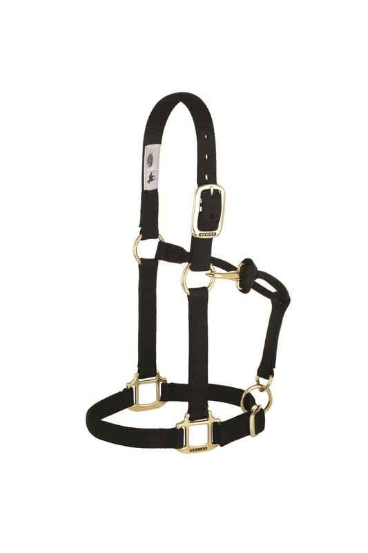Original Adjustable Chin and Throat Snap Halter, 1", Average Horse