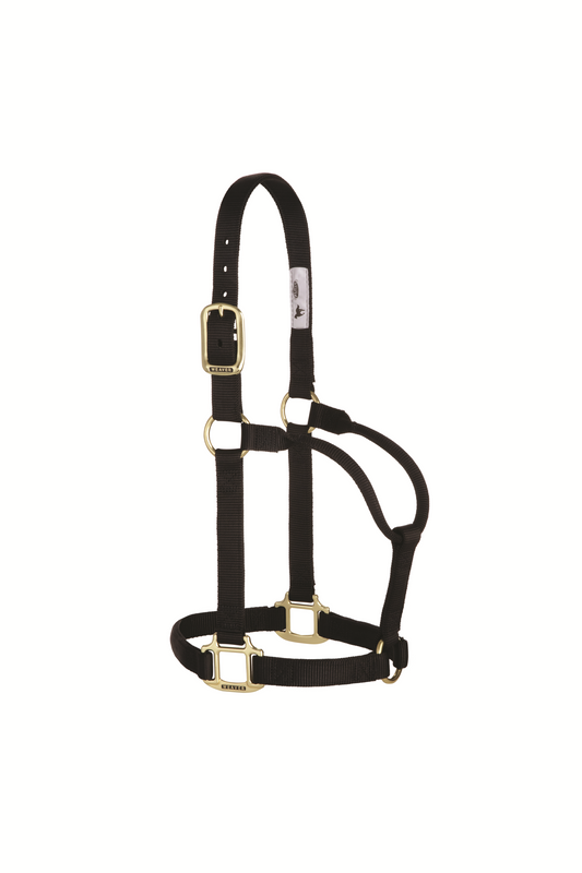 Original Non-Adjustable Halter , 1"