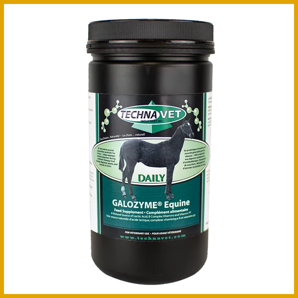 Galozyme Equine Daily - 500g