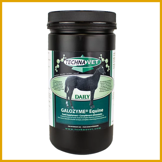 Galozyme Equine Daily - 500g