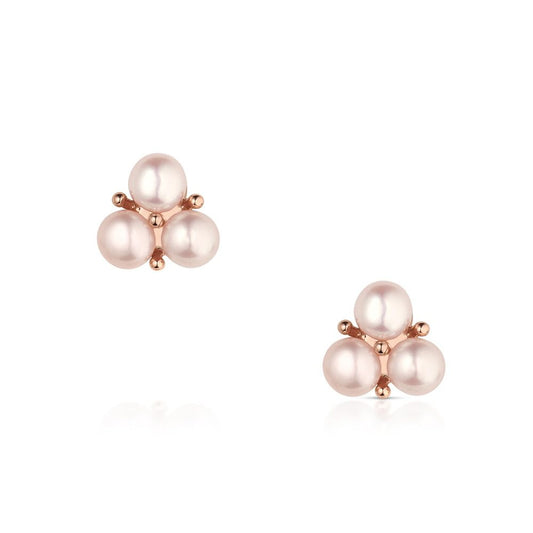 Rosewood Rodeo Earrings