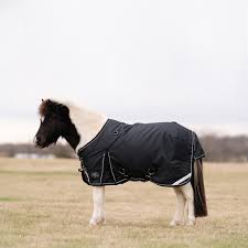 Pony Winter Blanket