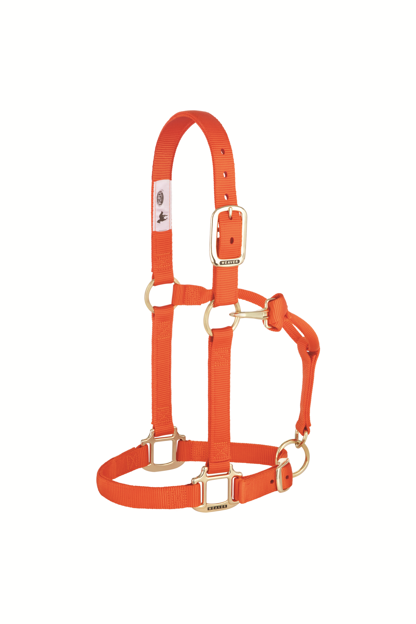Original Adjustable Chin and Throat Snap Halter, 1", Average Horse