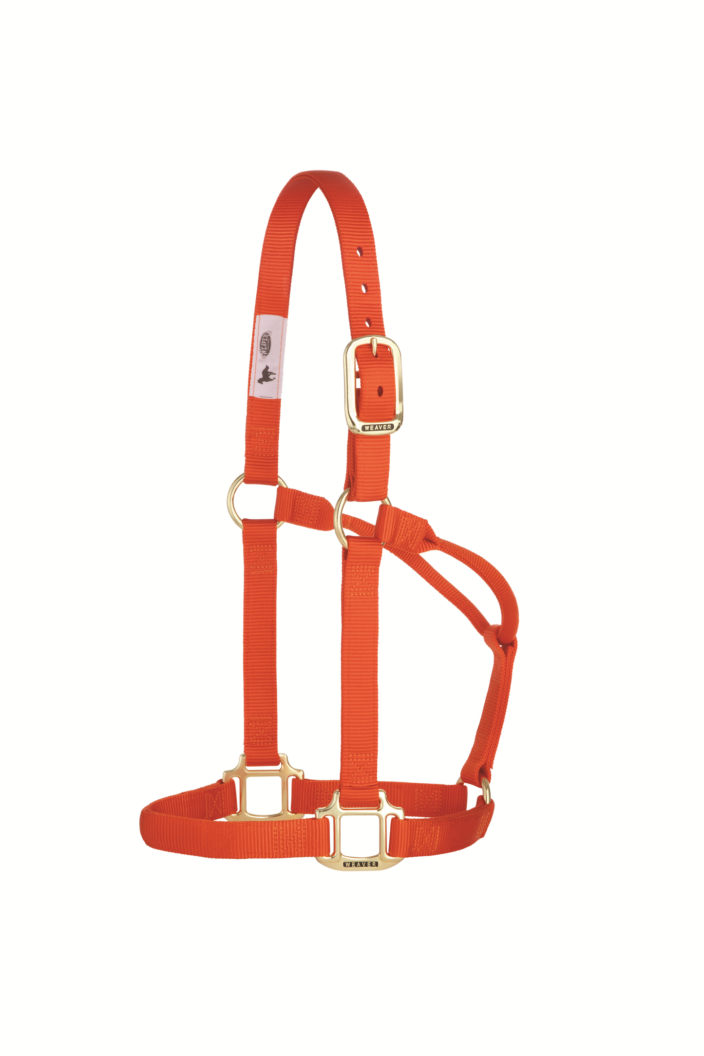 Original Non-Adjustable Halter , 1"