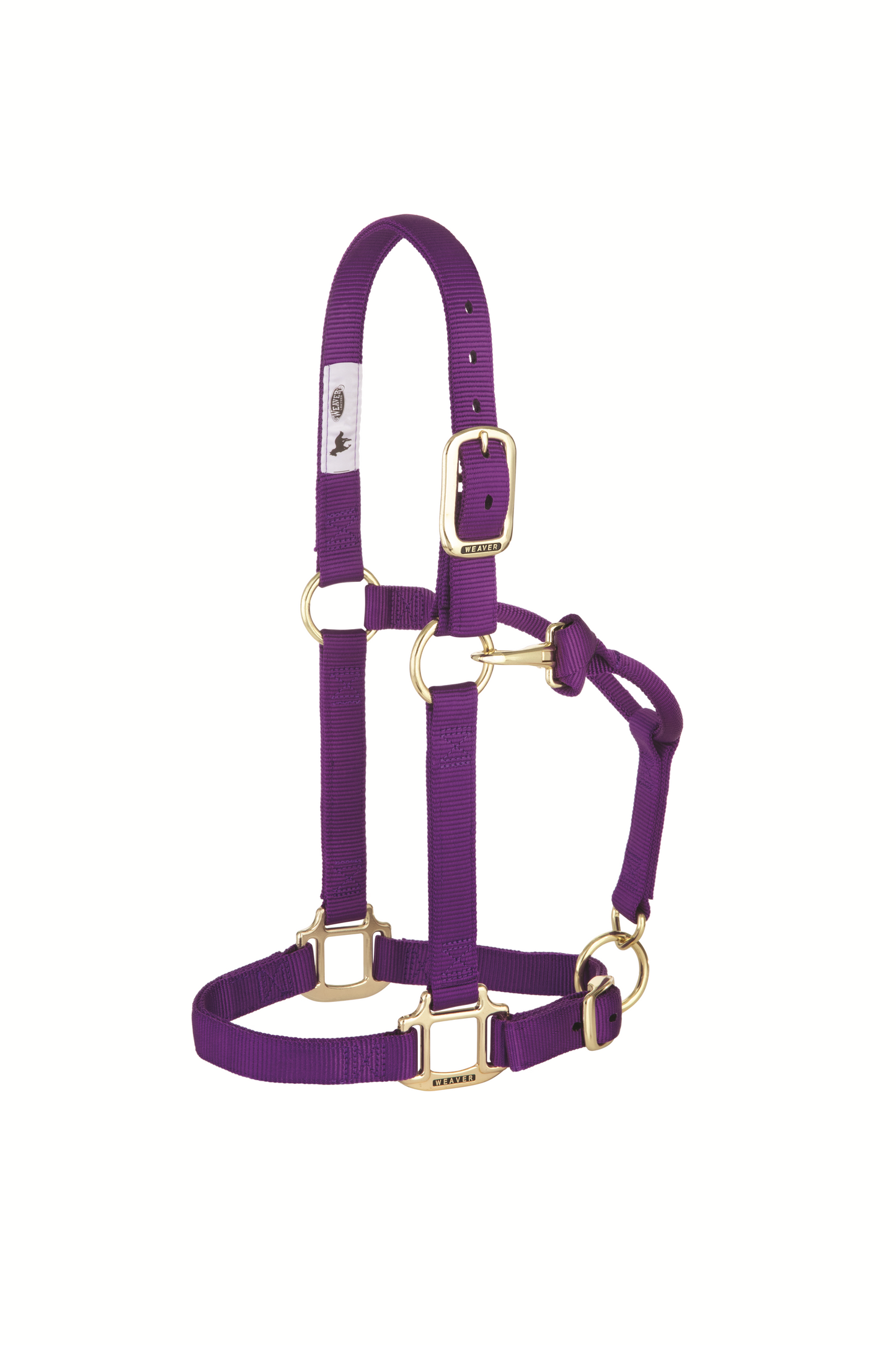 Original Adjustable Chin and Throat Snap Halter, 1", Average Horse