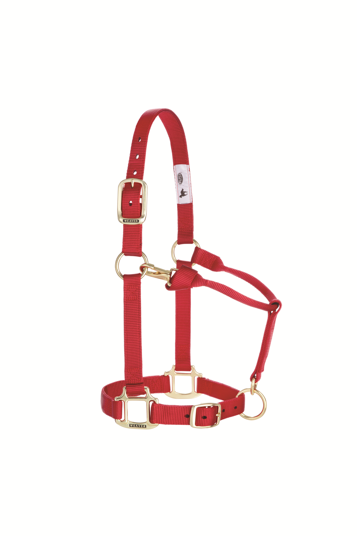 Original Adjustable Chin and Throat Snap Halter, 1", Average Horse