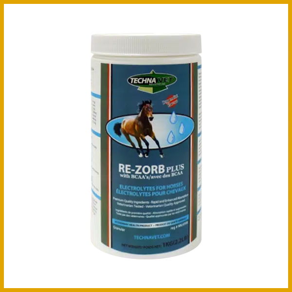 Re-Zorb Plus Equine with BCAA's - Peppermint