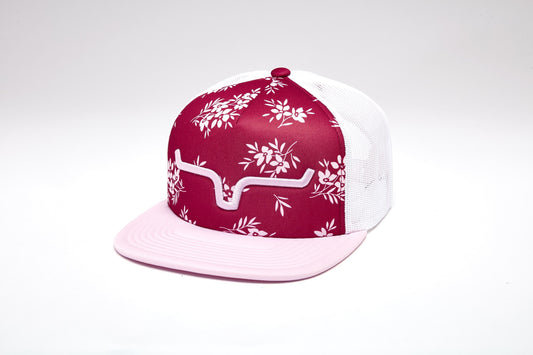 Kimes Ball Cap - Vega