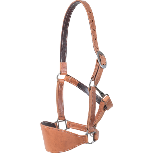 Harness Bronc Halter