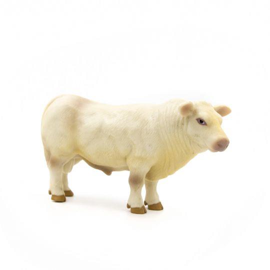 Charolais Bull