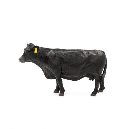 Angus Cow