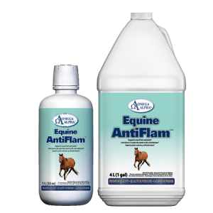 AntiFlam 1L