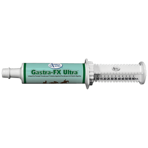 Gastra-FX Ultra Paste 60mL