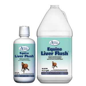 Equine Liver Flush 1L
