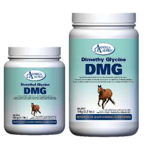 DMG Dimethylglycine 1Kg