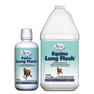 Equine Lung Flush 1L
