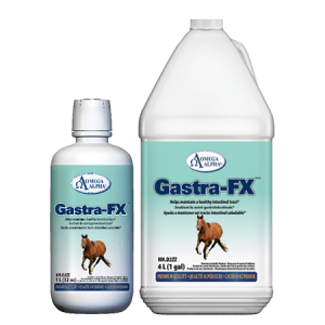 Gastra-FX 1L